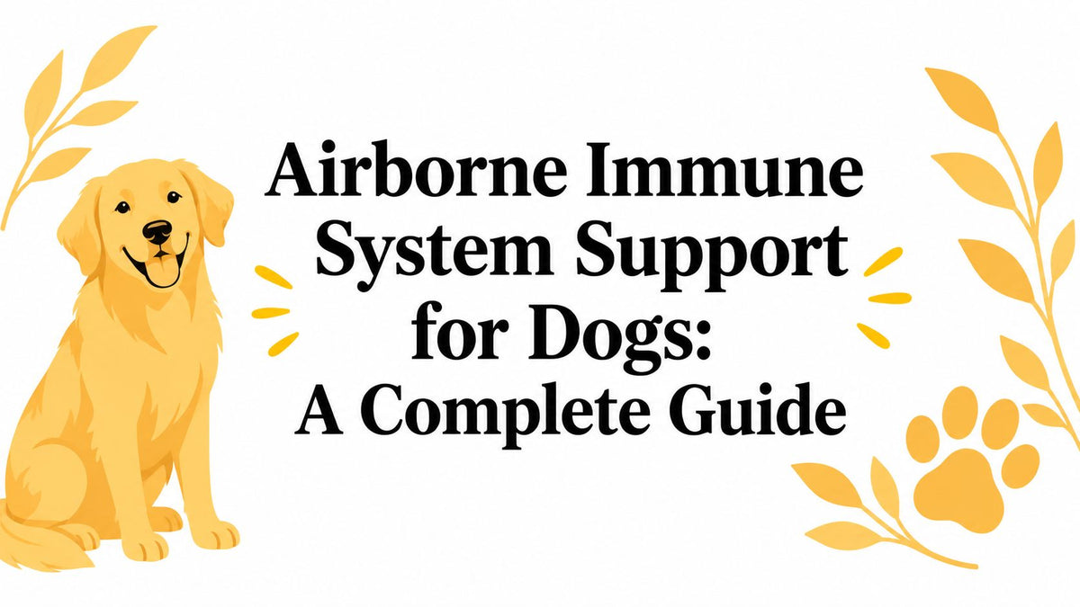 Airborne Immune System Support for Dogs: A Complete Guide