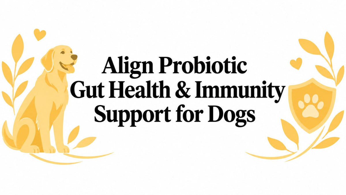 Align Probiotic Gut Health & Immunity Support for Dogs