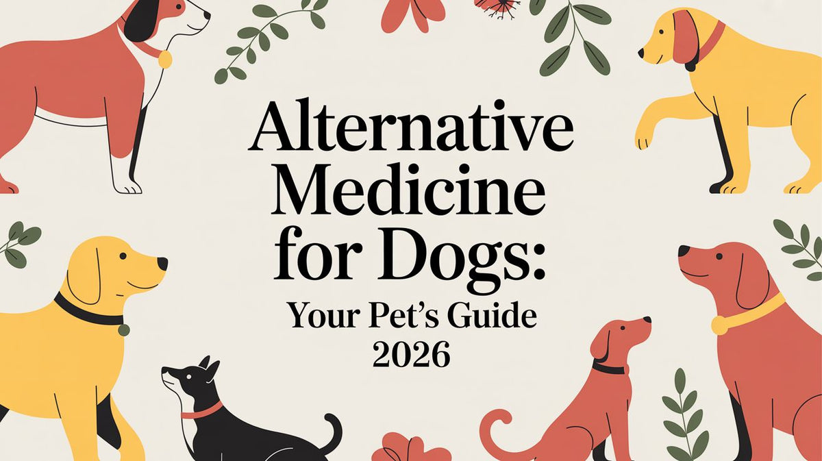 Alternative Medicine for Dogs: Your Pet's Guide 2026
