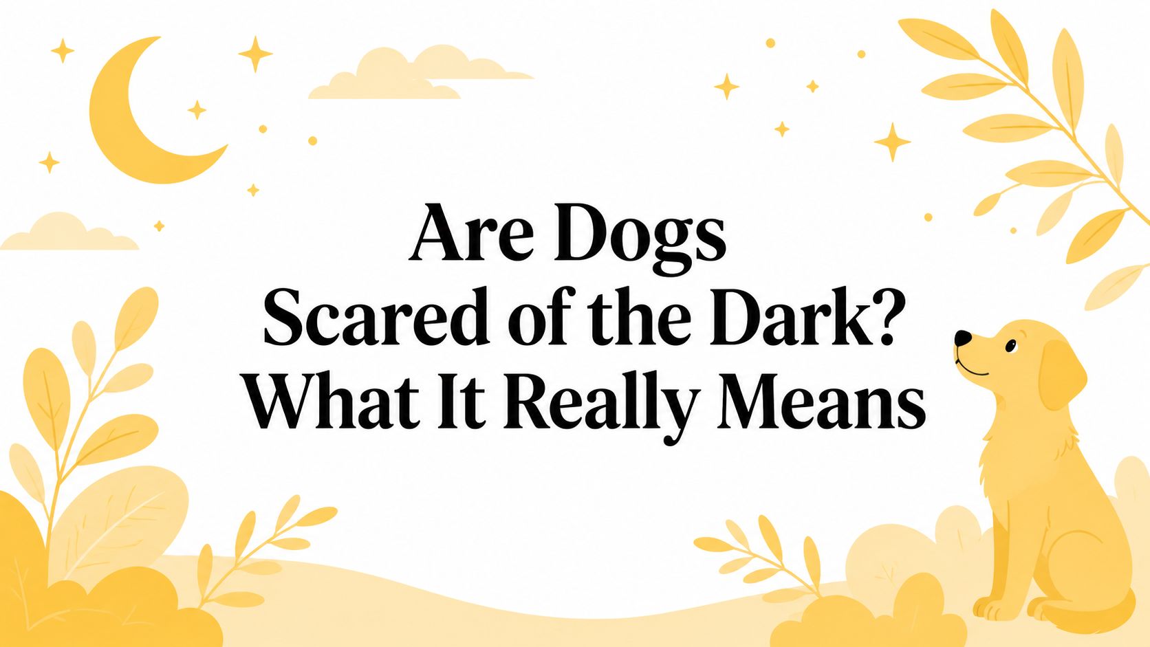 Are Dogs Scared of the Dark? What It Really Means