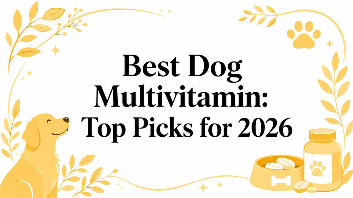 Best Dog Multivitamin: Top Picks for 2026