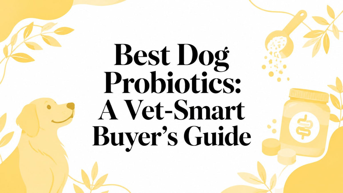 Best Dog Probiotics: A Vet-Smart Buyer's Guide