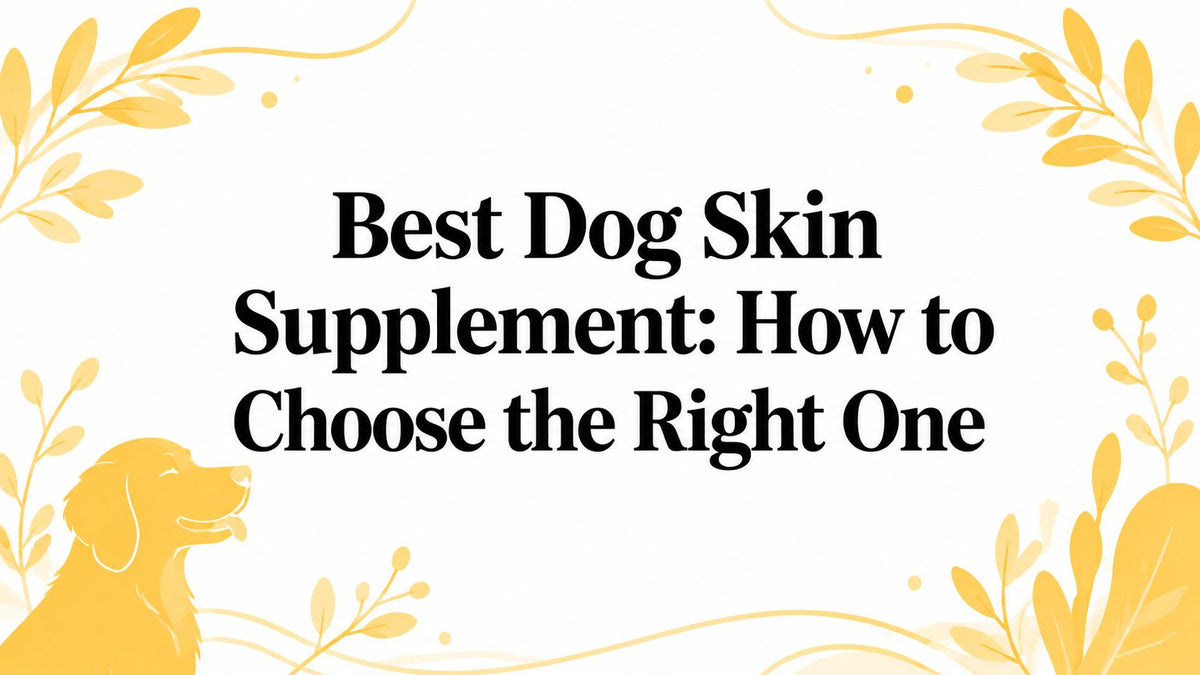 Best Dog Skin Supplement: How to Choose the Right One