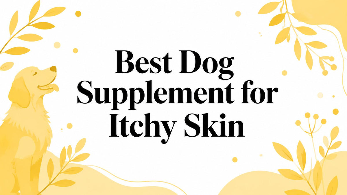 Best Dog Supplement for Itchy Skin