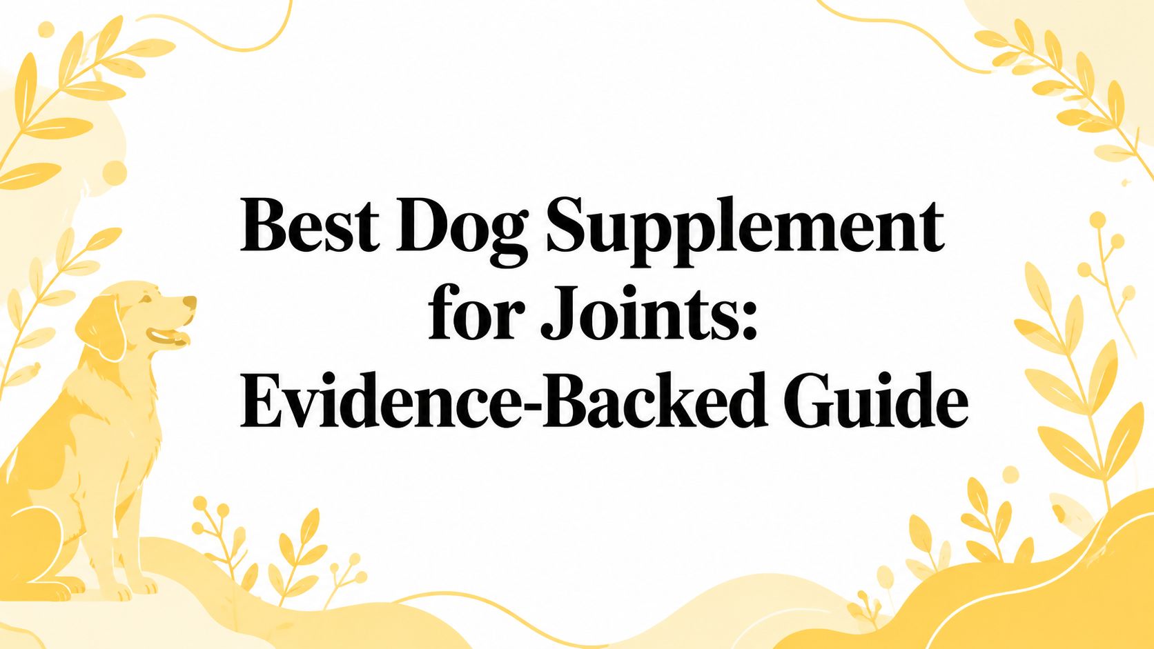 Best Dog Supplement for Joints: Evidence-Backed Guide