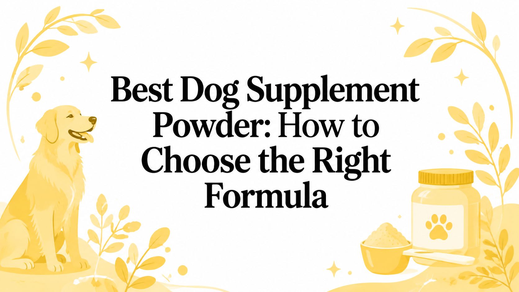 Best Dog Supplement Powder: How to Choose the Right Formula