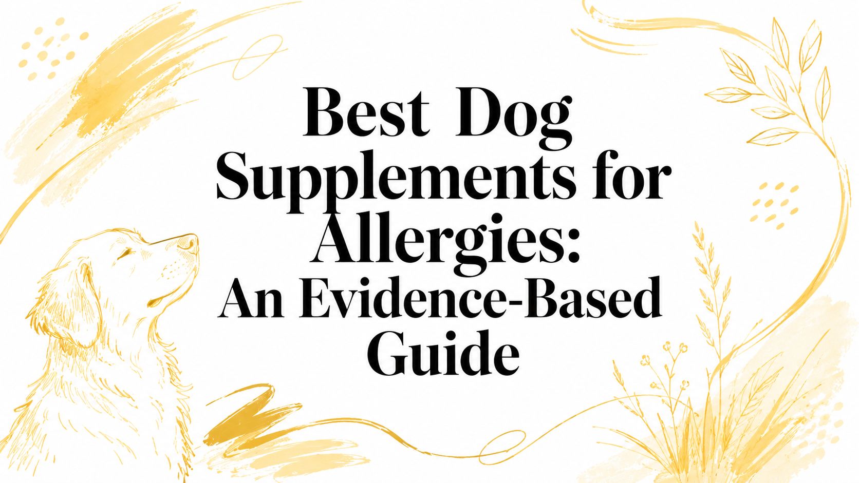 Best Dog Supplements for Allergies: An Evidence-Based Guide