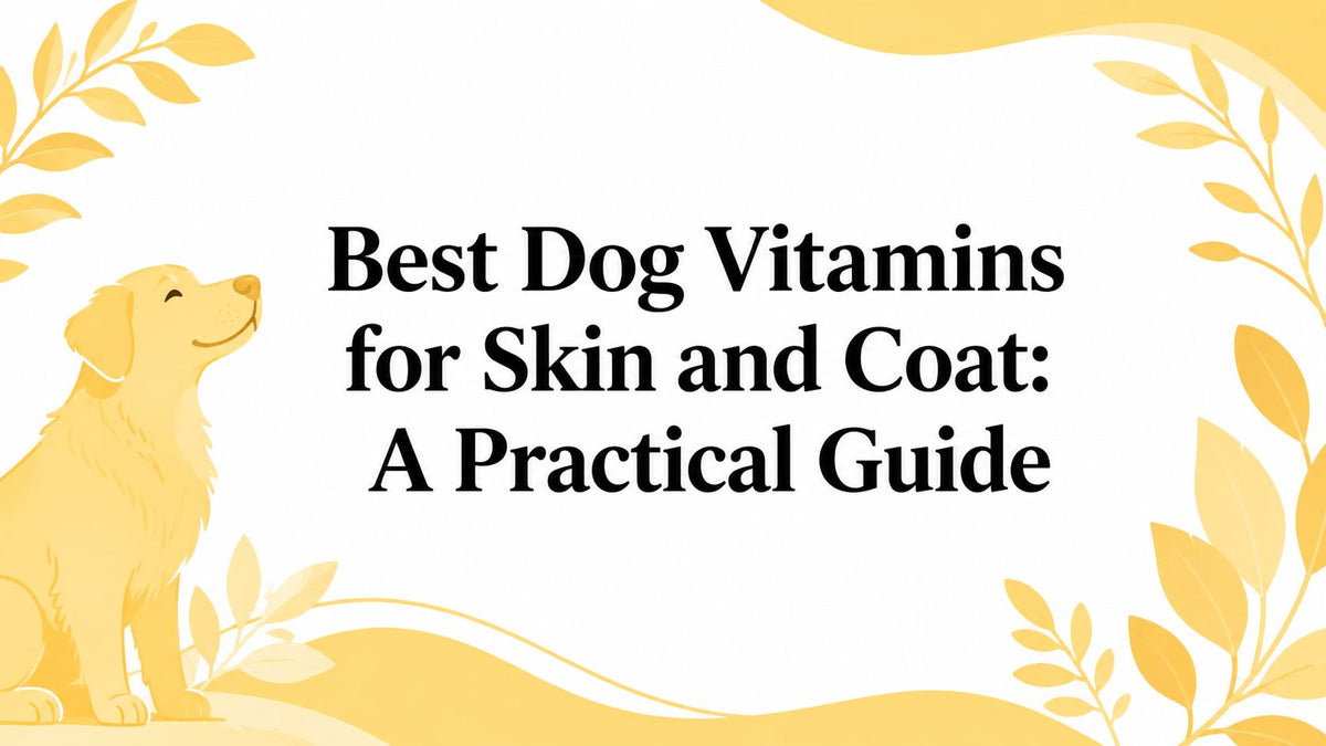 Best Dog Vitamins for Skin and Coat: A Practical Guide