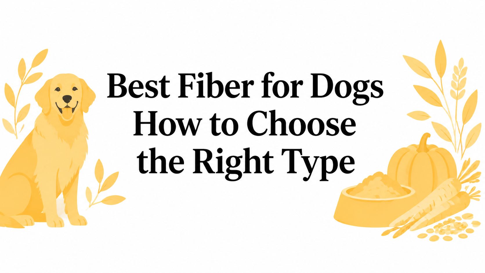 Best Fiber for Dogs How to Choose the Right Type