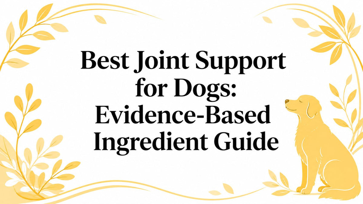 Best Joint Support for Dogs: Evidence-Based Ingredient Guide
