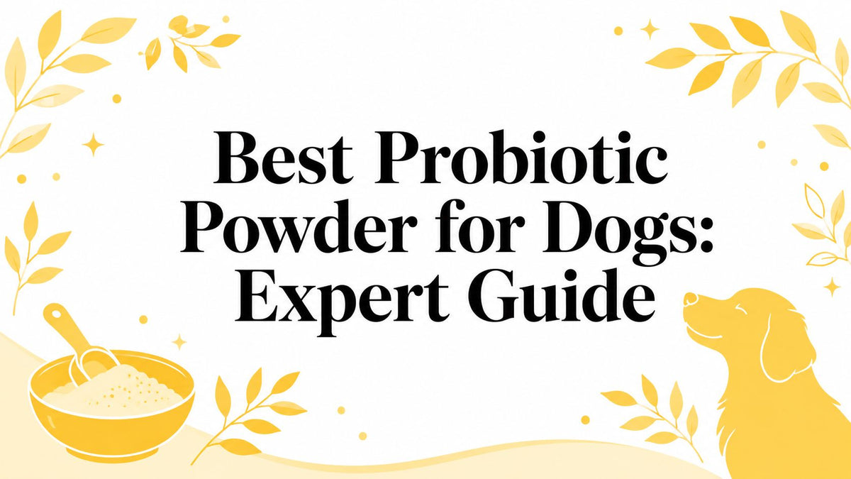 Best Probiotic Powder for Dogs: Expert Guide