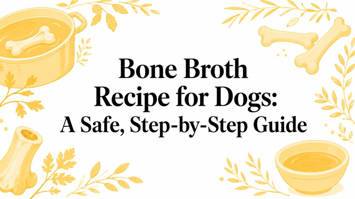 Bone Broth Recipe for Dogs: A Safe, Step-by-Step Guide