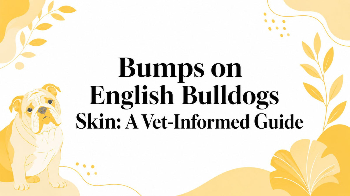 Bumps on English Bulldogs Skin: A Vet-Informed Guide