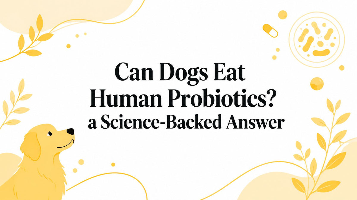 Can Dogs Eat Human Probiotics? a Science-Backed Answer