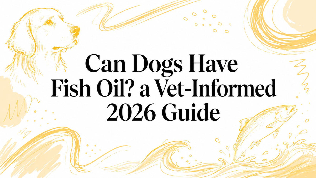 Can Dogs Have Fish Oil? a Vet-Informed 2026 Guide
