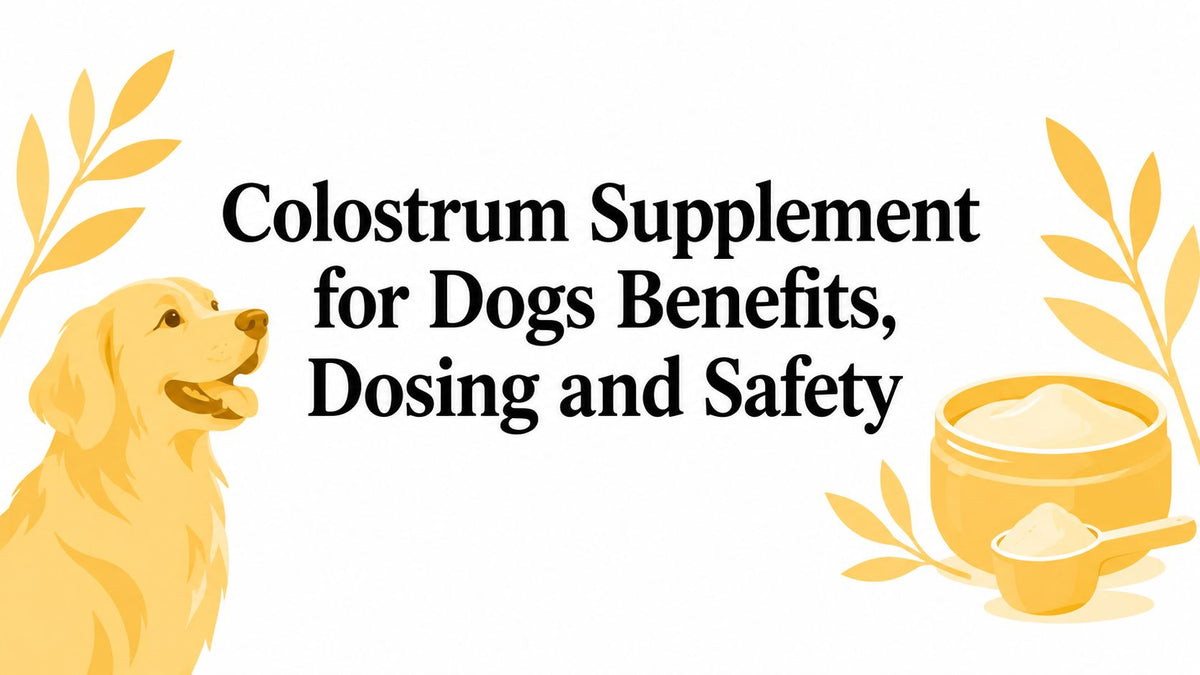 Colostrum Supplement for Dogs Benefits, Dosing and Safety