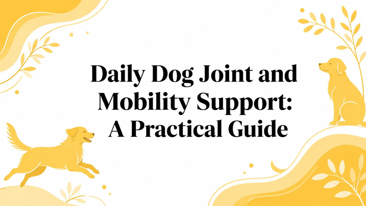 Daily Dog Joint and Mobility Support: A Practical Guide