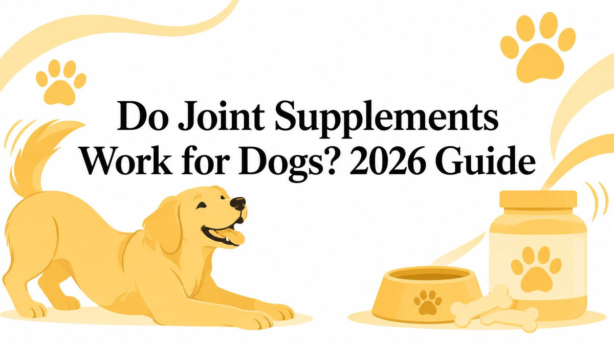 Do Joint Supplements Work for Dogs? 2026 Guide
