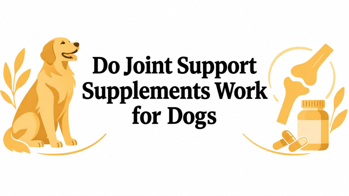 Do Joint Support Supplements Work for Dogs