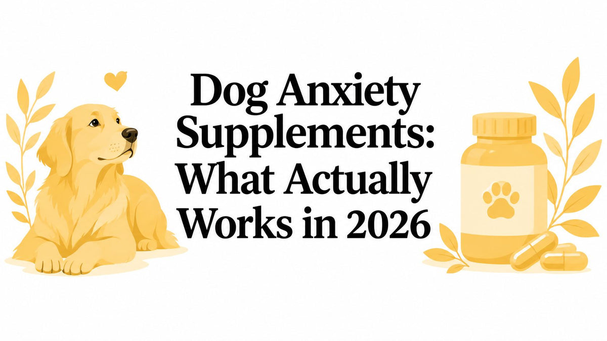 Dog Anxiety Supplements: What Actually Works in 2026