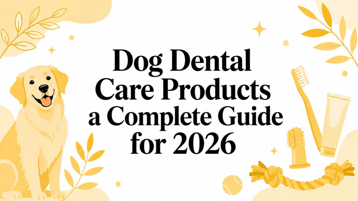 Dog Dental Care Products a Complete Guide for 2026
