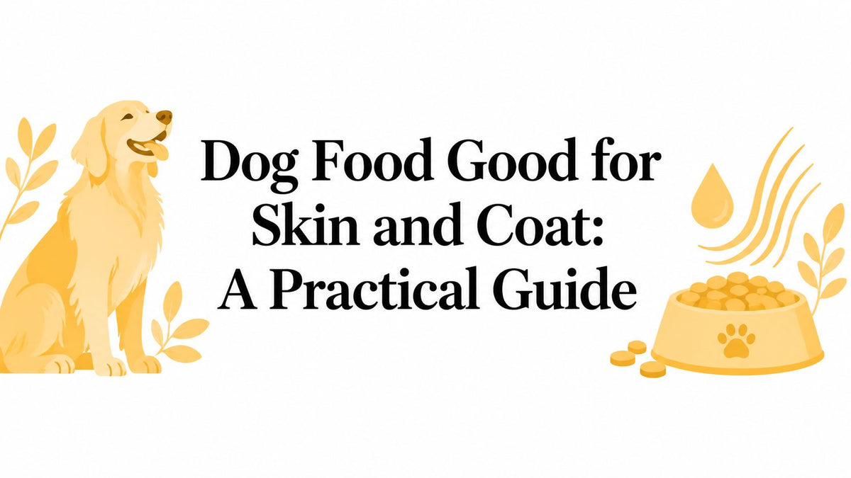 Dog Food Good for Skin and Coat: A Practical Guide