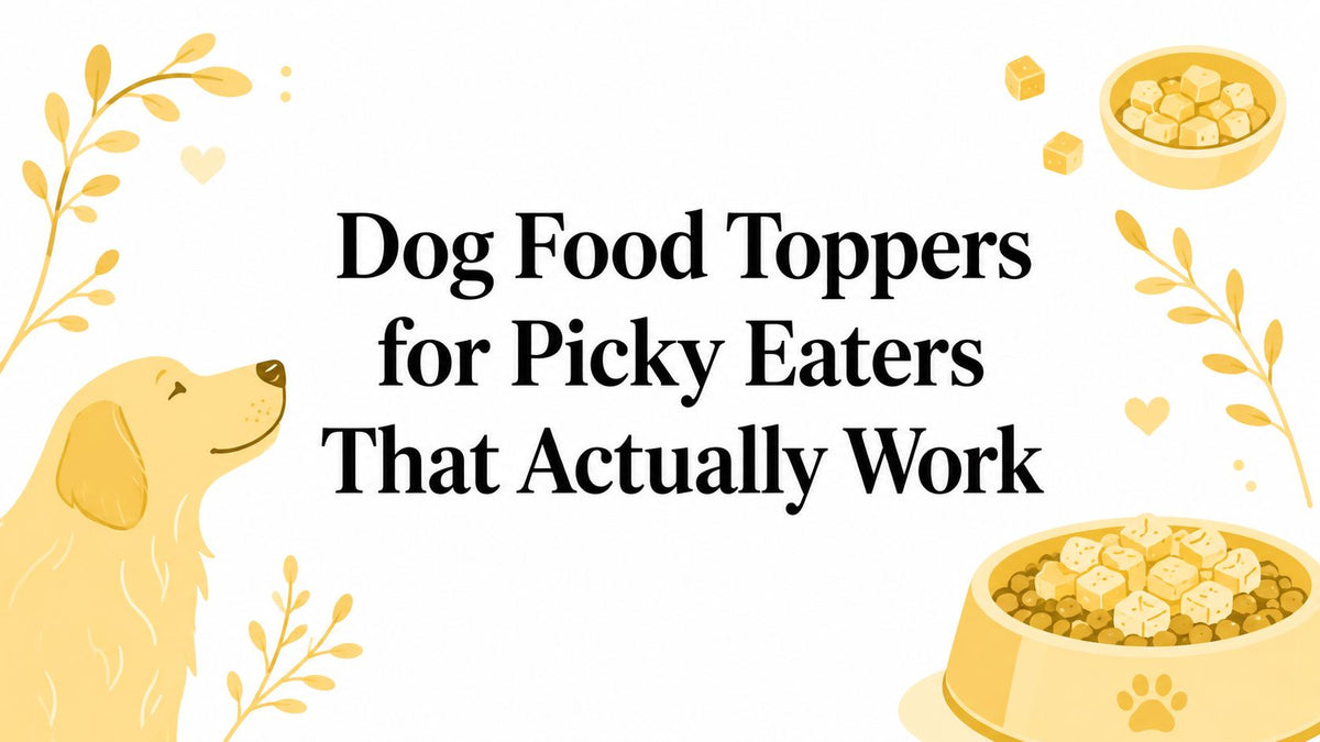 Dog Food Toppers for Picky Eaters That Actually Work