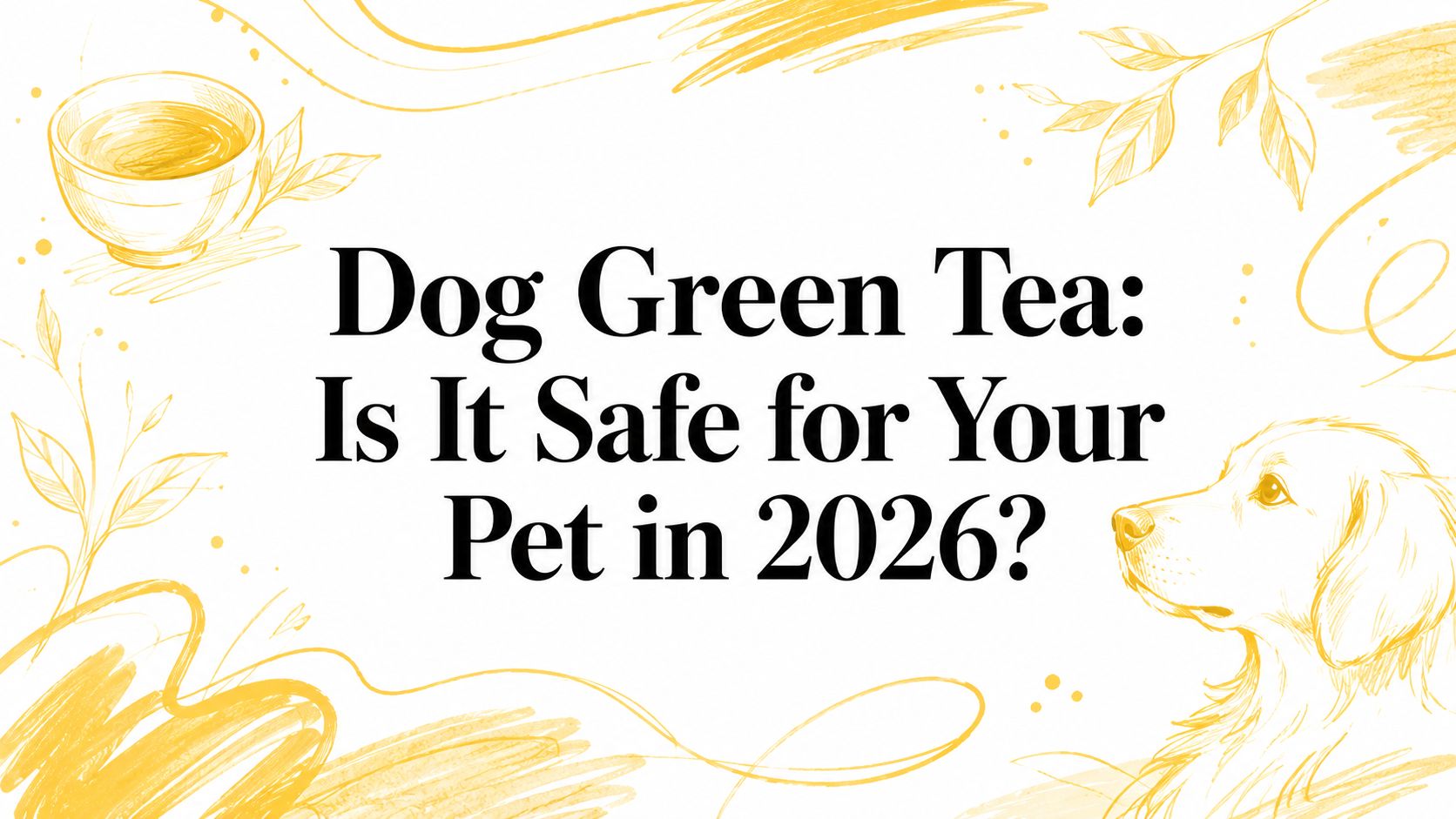 Dog Green Tea: Is It Safe for Your Pet in 2026?