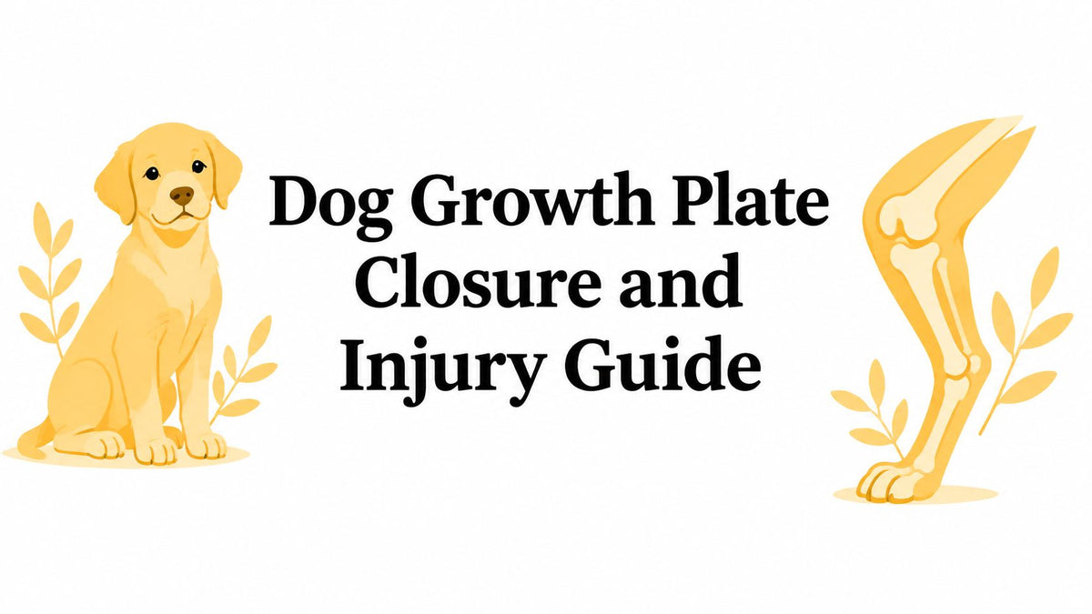 Dog Growth Plate Closure and Injury Guide