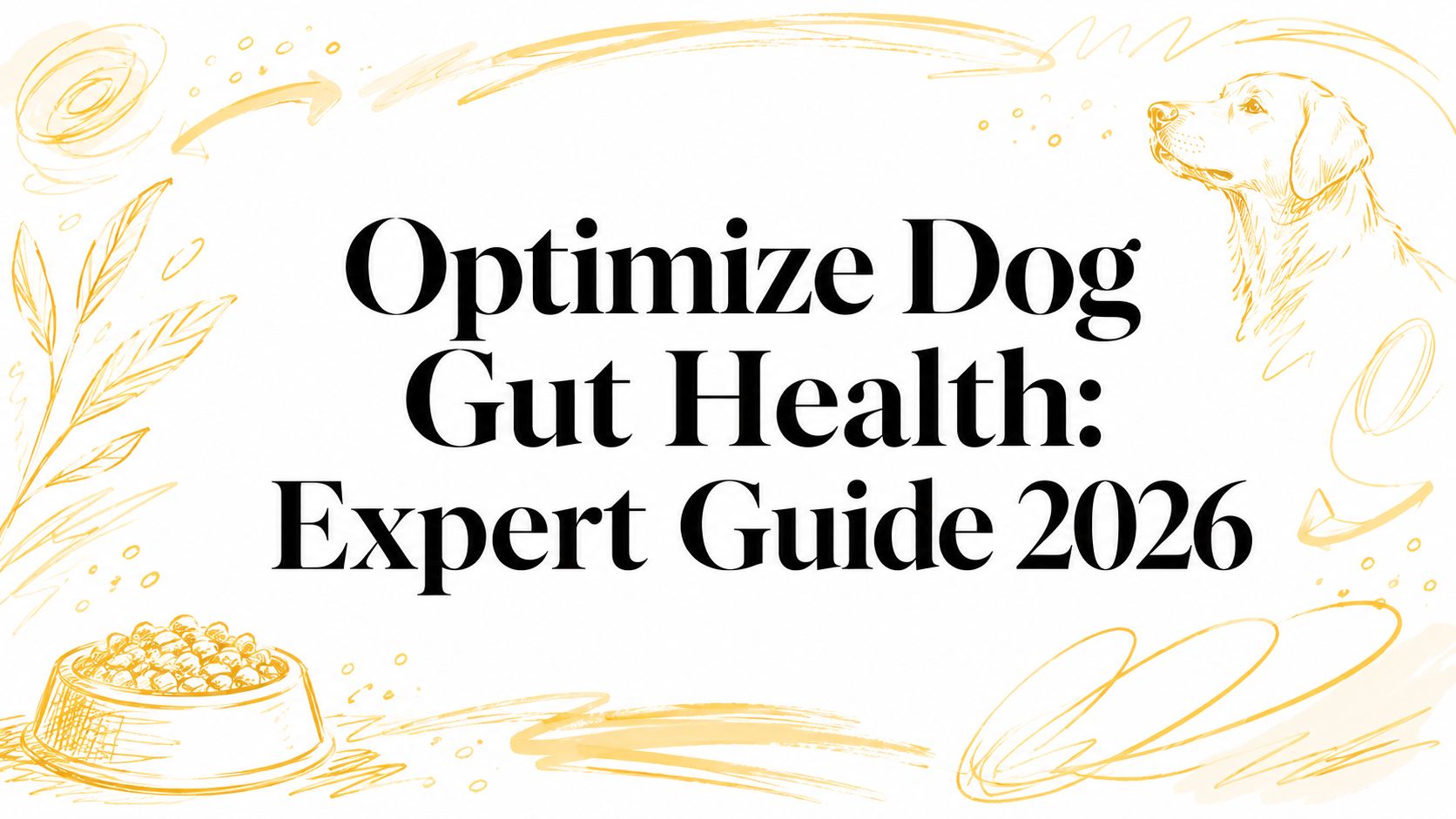 Optimize Dog Gut Health: Expert Guide 2026