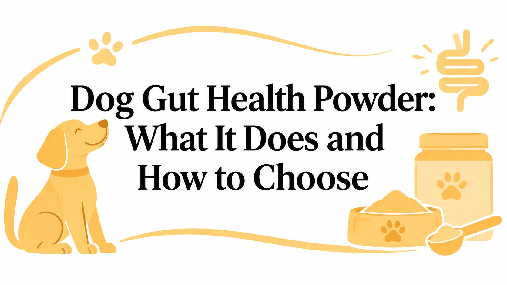 Dog Gut Health Powder: What It Does and How to Choose