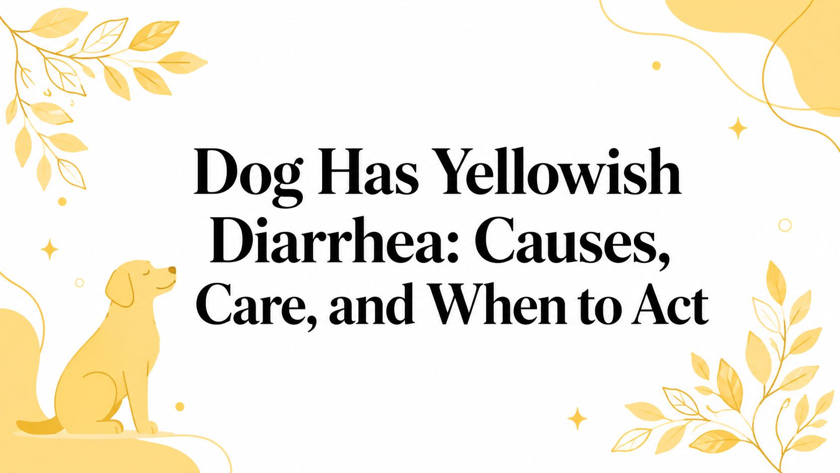 Dog Has Yellowish Diarrhea: Causes, Care, and When to Act