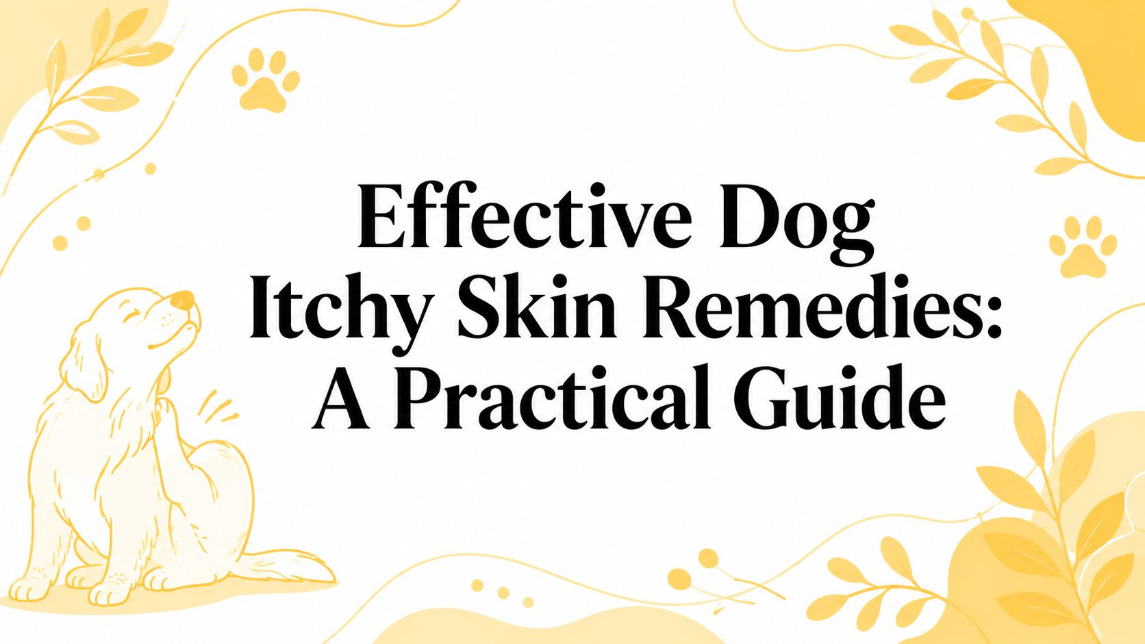 Effective Dog Itchy Skin Remedies: A Practical Guide
