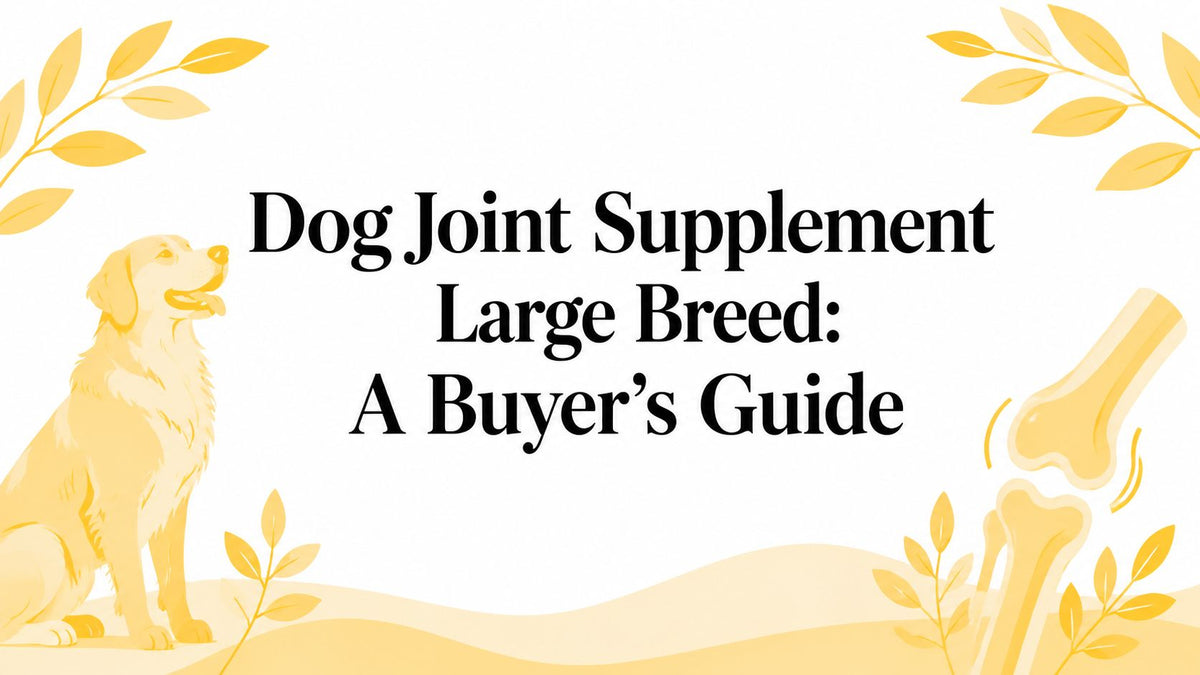 Dog Joint Supplement Large Breed: A Buyer's Guide