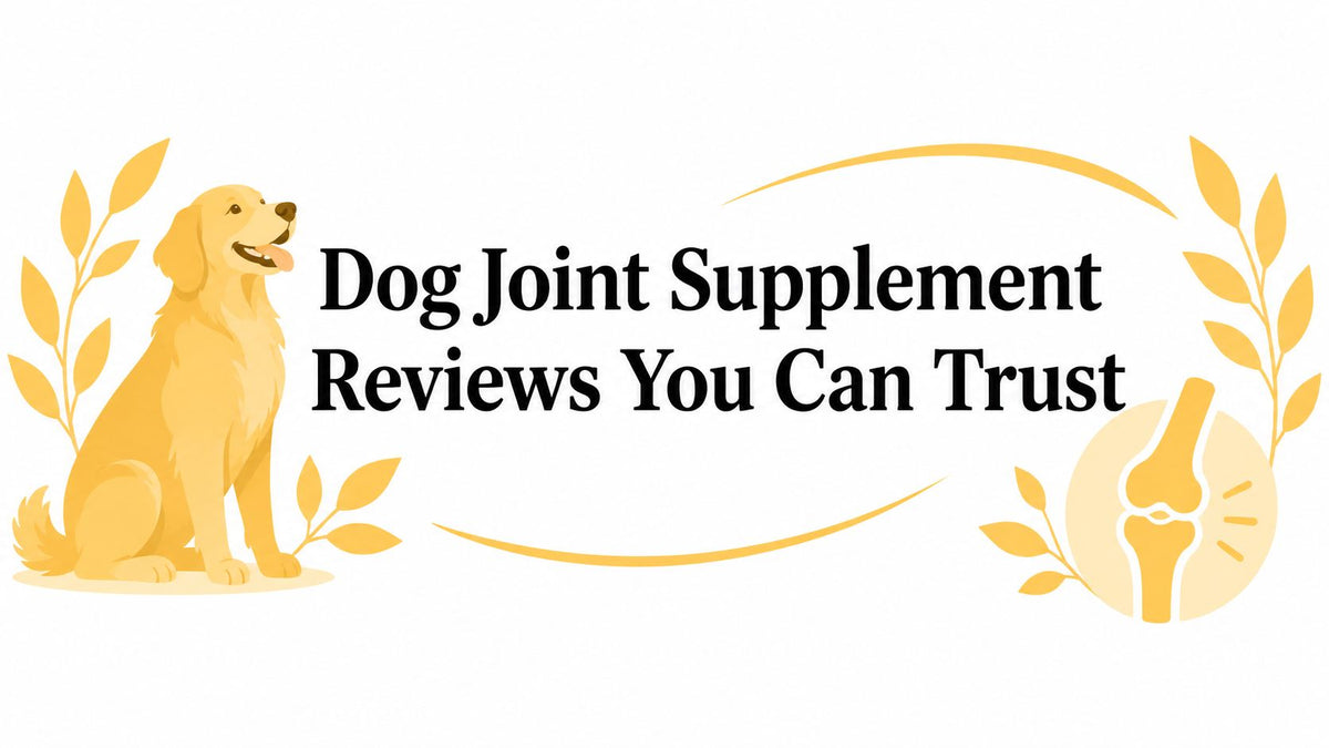 Dog Joint Supplement Reviews You Can Trust