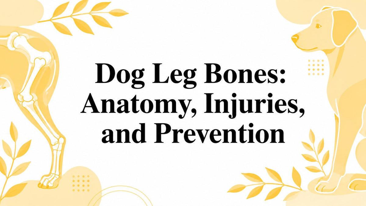 Dog Leg Bones: Anatomy, Injuries, and Prevention