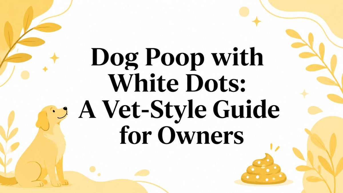 Dog Poop with White Dots: A Vet-Style Guide for Owners