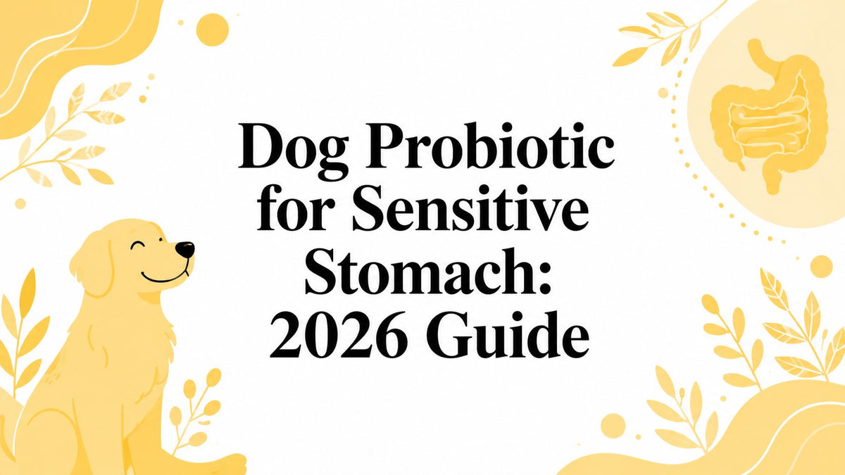 Dog Probiotic for Sensitive Stomach: 2026 Guide