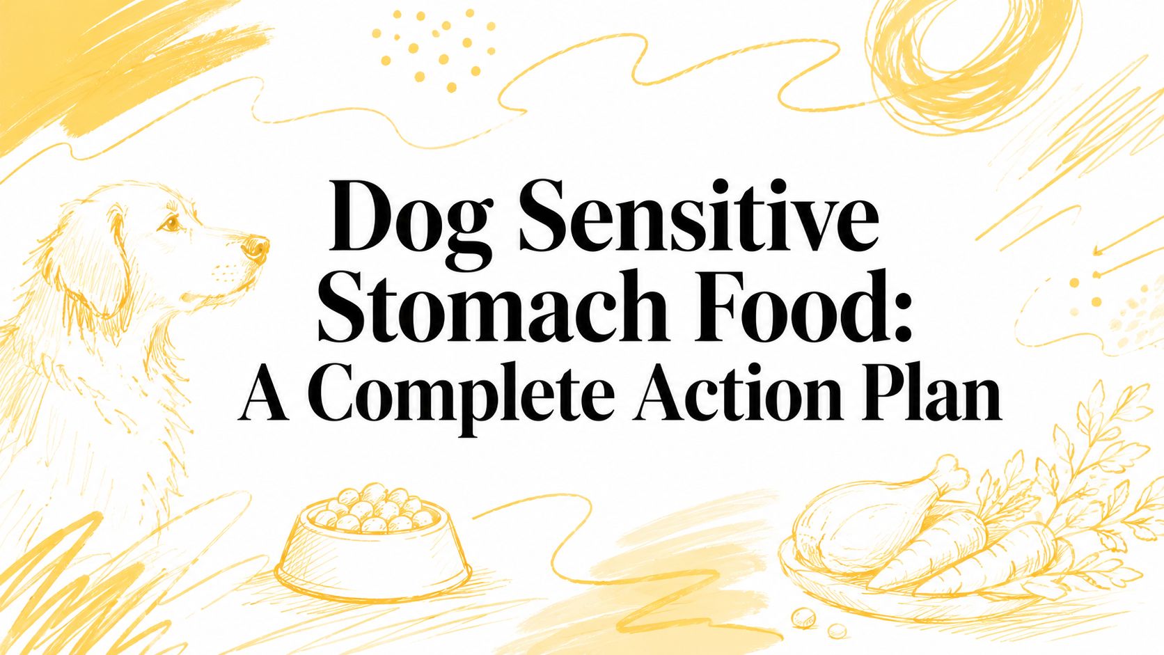 Dog Sensitive Stomach Food: A Complete Action Plan