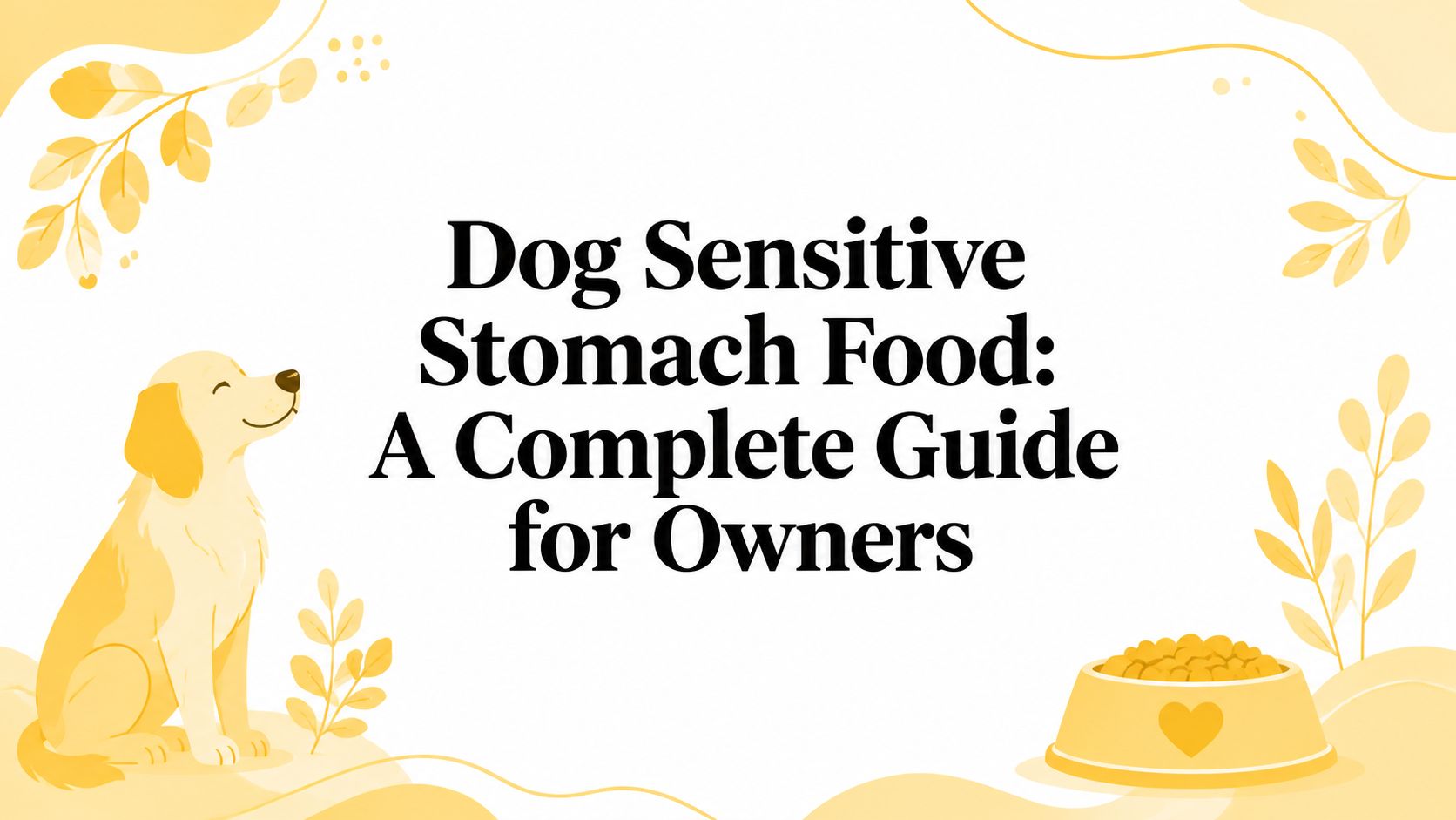 Dog Sensitive Stomach Food: A Complete Guide for Owners