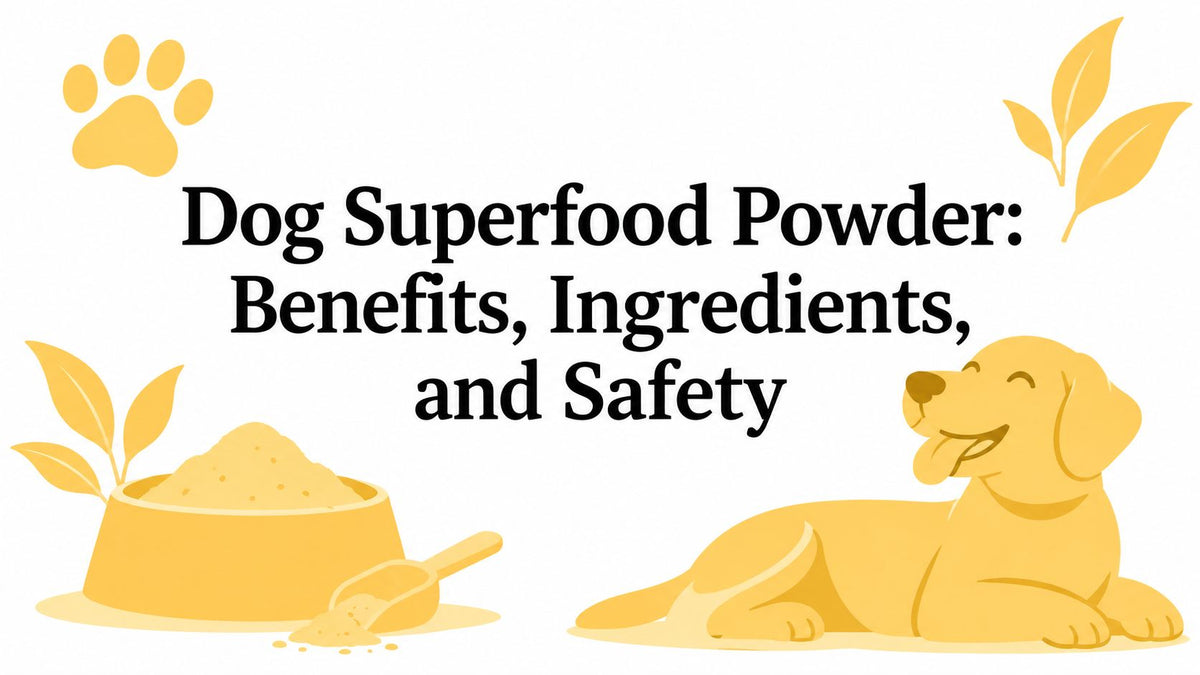 Dog Superfood Powder: Benefits, Ingredients, and Safety