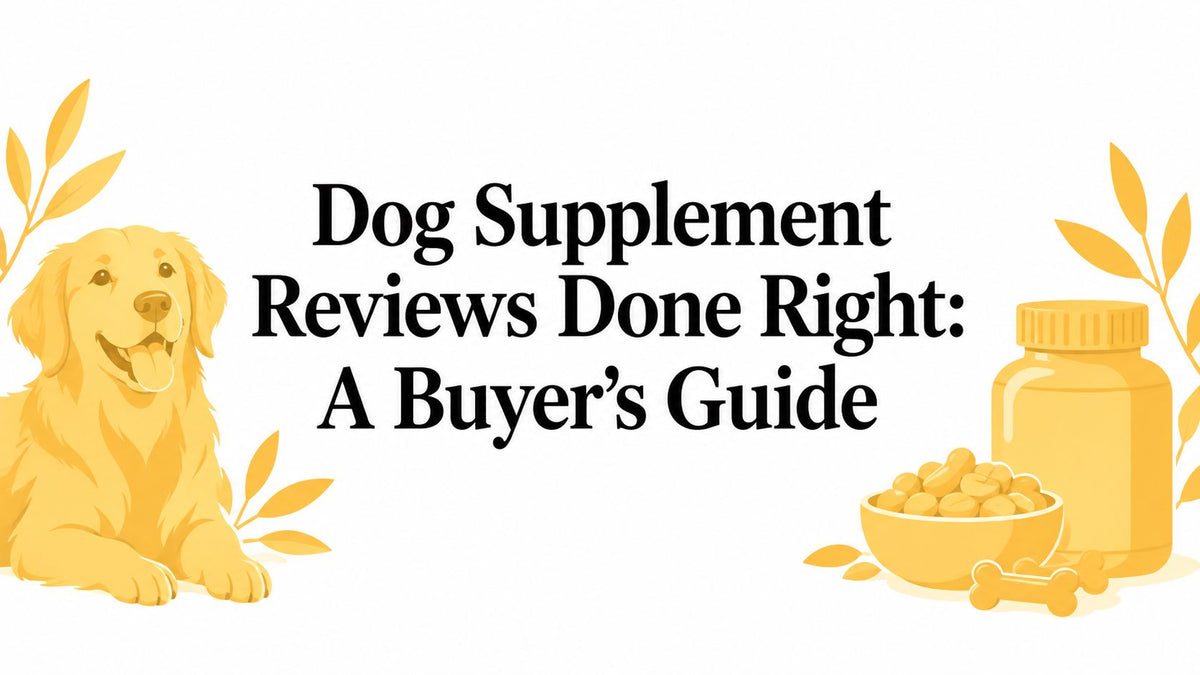 Dog Supplement Reviews Done Right: A Buyer's Guide