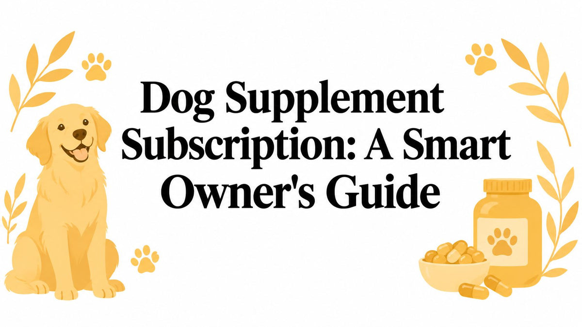 Dog Supplement Subscription: A Smart Owner's Guide