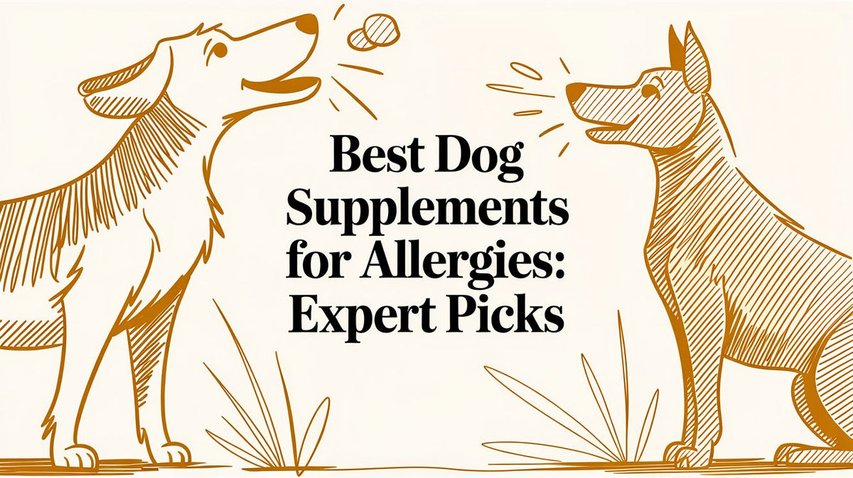 Best Dog Supplements for Allergies: Expert Picks