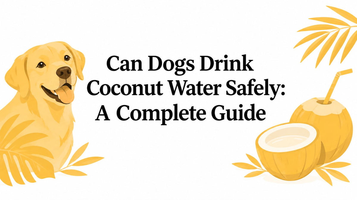 Can Dogs Drink Coconut Water Safely: A Complete Guide