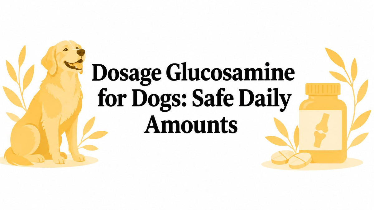 Dosage Glucosamine for Dogs: Safe Daily Amounts