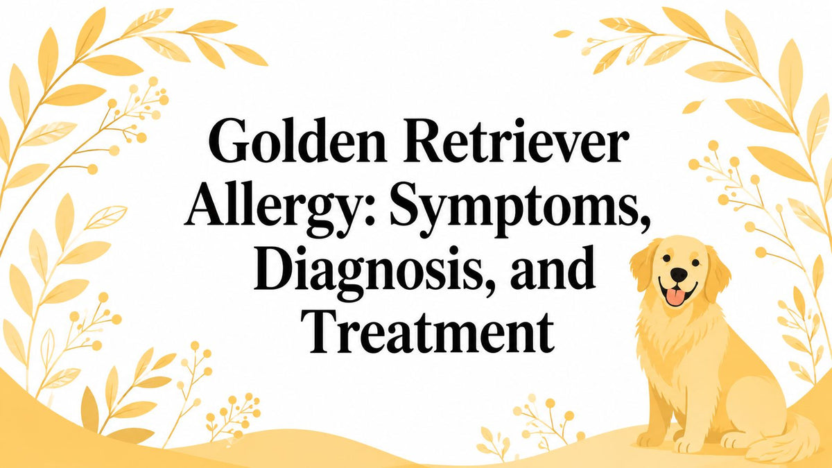 Golden Retriever Allergy: Symptoms, Diagnosis, and Treatment