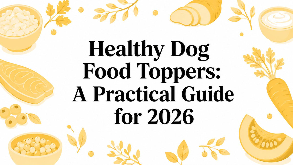 Healthy Dog Food Toppers: A Practical Guide for 2026