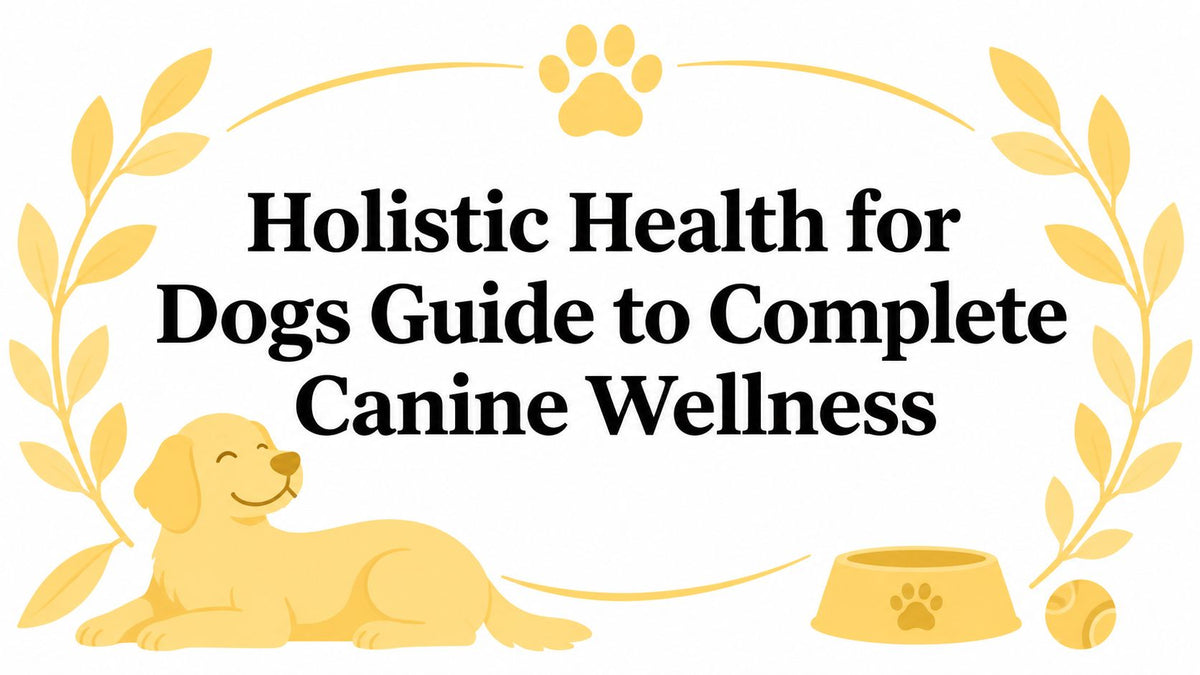 Holistic Health for Dogs Guide to Complete Canine Wellness