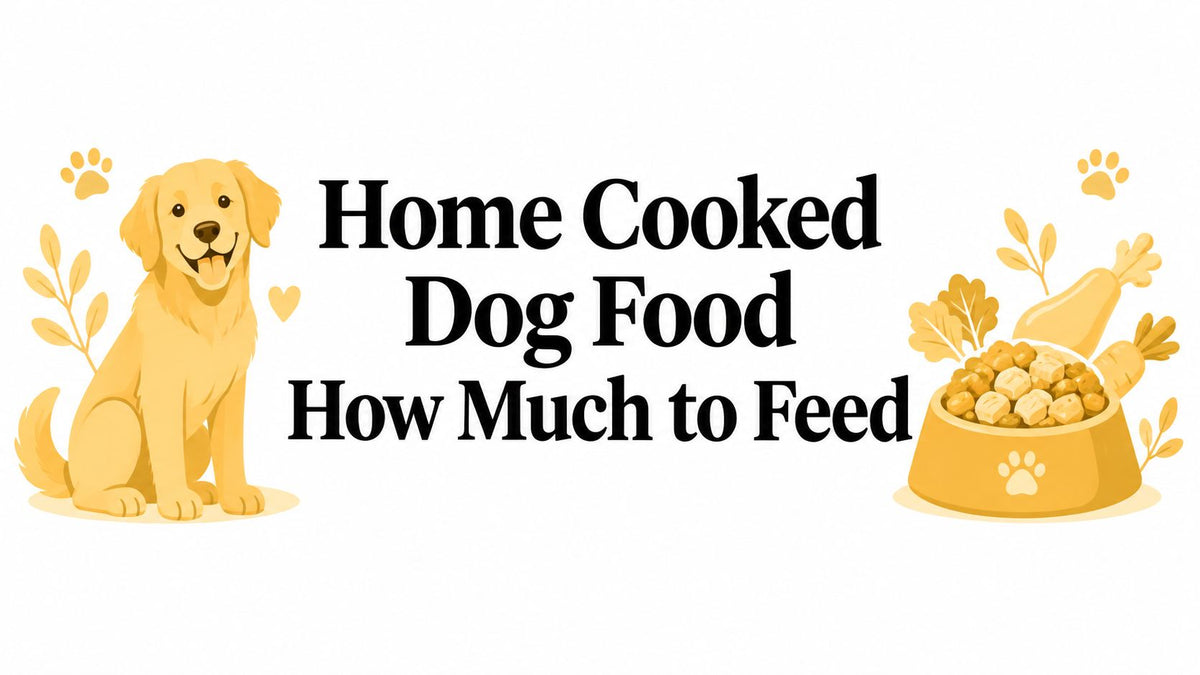 Home Cooked Dog Food How Much to Feed